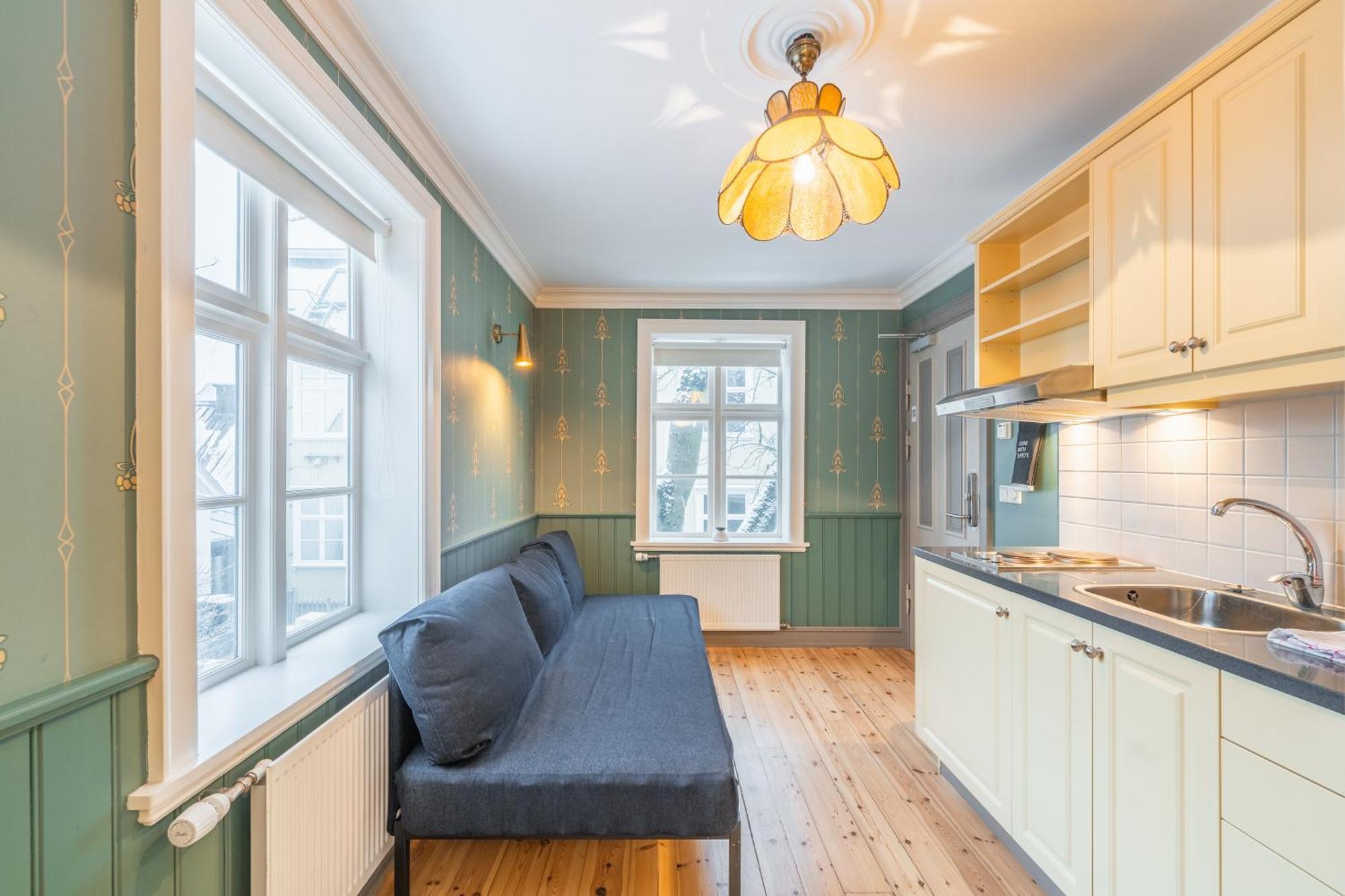 Day Dream Historical Grjotagata 4 Apartment Reykjavik Luaran gambar